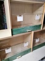 Kweekkooien breed 50 hoogte 40 diepte 30 voor de drie 80 eur, Dieren en Toebehoren, Vogels | Hokken en Kooien, Ophalen
