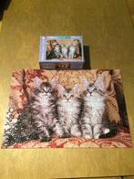 Puzzle Main Coon cats 300 stukjes compleet, Zo goed als nieuw