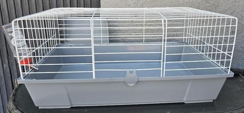 Cage pour cochon d'Inde (Rongeur), Dieren en Toebehoren, Knaagdieren en Konijnen | Hokken en Kooien, Gebruikt, Kooi, Minder dan 60 cm