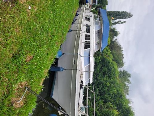 Bateau superpoliaris, Sports nautiques & Bateaux, Bateaux à moteur & Yachts à moteur, Comme neuf, Bois, 12 mètres ou plus, Diesel