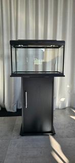 HS aqua platy 70 liter, Dieren en Toebehoren, Ophalen