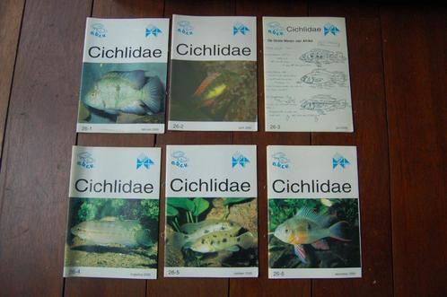 Cichlidae complete jaargangen losse boekjes A5 formaat, Dieren en Toebehoren, Vissen | Aquaria en Toebehoren, Zo goed als nieuw