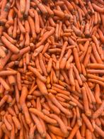 Carottes à vendre, Animaux & Accessoires, Enlèvement