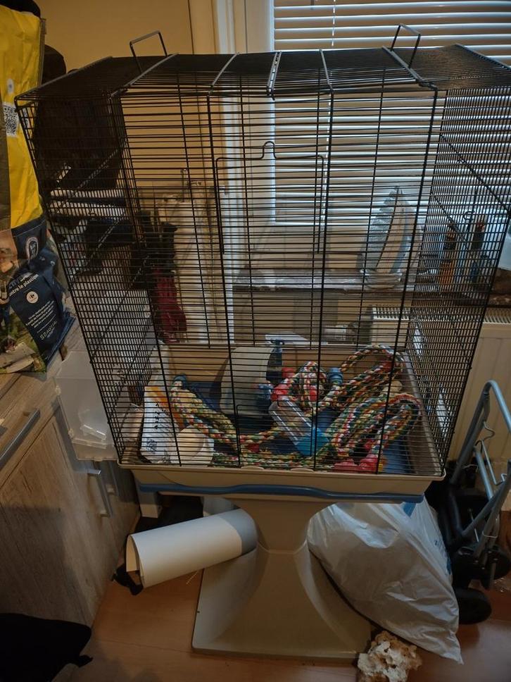 Staande kooi voor kanarie, parkiet of grote parkiet, Dieren en Toebehoren, Vogels | Hokken en Kooien, Zo goed als nieuw, Vogelkooi