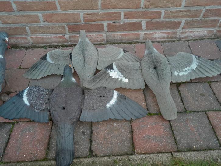 pigeons leurres en plastique, Hobby & Loisirs créatifs, Hobby & Loisirs Autre, Utilisé, Enlèvement ou Envoi