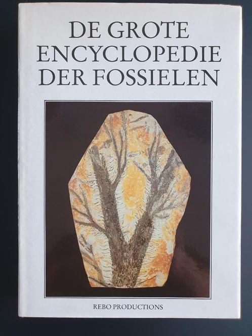 De Grote Encyclopedie Der Fossielen, Livres, Encyclopédies, Comme neuf, Tome à part, Autres sujets/thèmes, Enlèvement