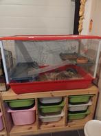 Gerbil met kooi, Dieren en Toebehoren, Knaagdieren en Konijnen | Toebehoren, Ophalen, Gebruikt, Overige typen