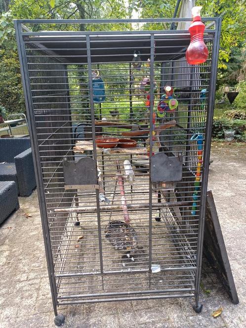 Papegaaien kooien, Dieren en Toebehoren, Vogels | Hokken en Kooien, Zo goed als nieuw, Ophalen