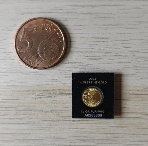 Gouden munt 1 gram (24 karaat) - Maple Leaf, Timbres & Monnaies, Métaux nobles & Lingots, Or, Enlèvement ou Envoi