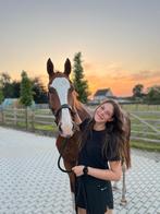 plekje vrij voor jouw paard in training, Dieren en Toebehoren, Zadelmak