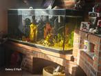 A vendre aquarium, Dieren en Toebehoren, Vissen | Aquaria en Toebehoren, Ophalen, Zo goed als nieuw