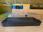 Kooi konijnen / knaagdieren, Kooi, 110 cm of meer, Cavia, Zo goed als nieuw