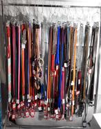 Lot / partij 165 hondenriemen ( NIEUW ), Dieren en Toebehoren, Hondenriemen, Ophalen, Nieuw, Hondenriem