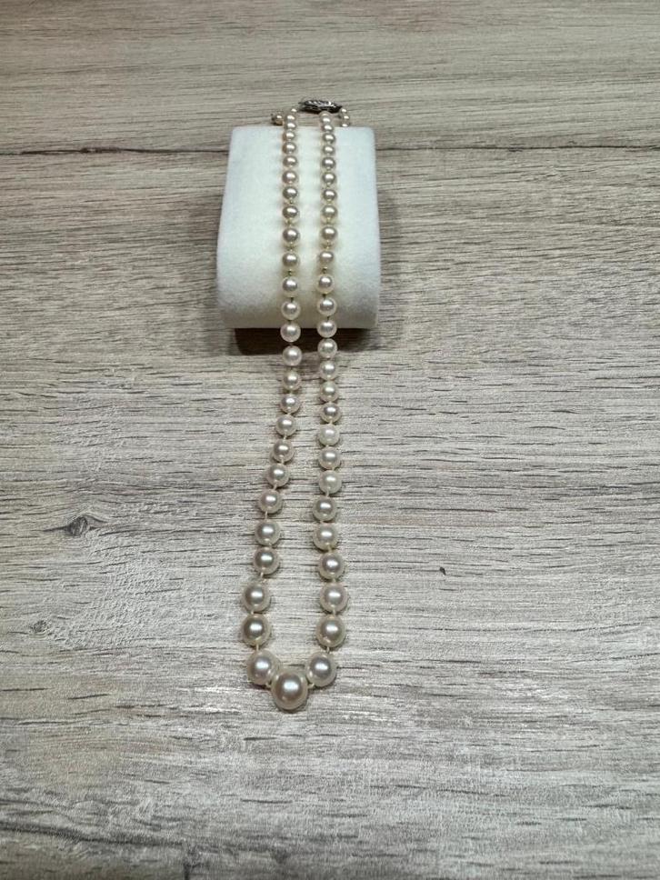 Collier de perles véritables, Bijoux, Sacs & Beauté, Colliers, Utilisé, Autres matériaux, Beige, Enlèvement