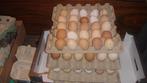 BIOLOGISCH EIERBAKJE VAN 30€ 10, Diversen, Levensmiddelen, Ophalen