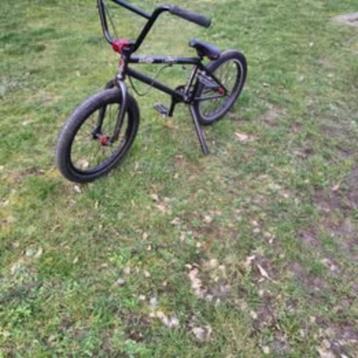 BMX WTP 2019 beschikbaar voor biedingen