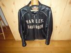 Harley leren jack, Motoren, Kleding | Motorkleding, Ophalen, Heren, Jas | leer, Harley Davidson