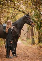 Verzorger Gezocht MECHELEN, Jument