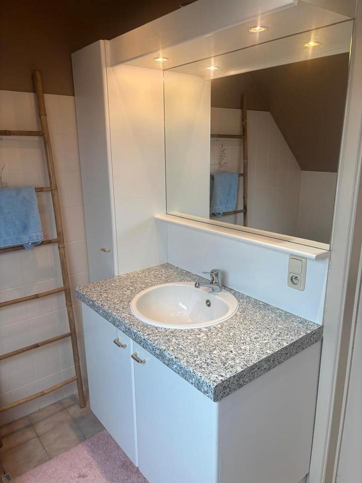 Badkamermeubel (zelf demonteren), Huis en Inrichting, Badkamer | Complete badkamers, Ophalen