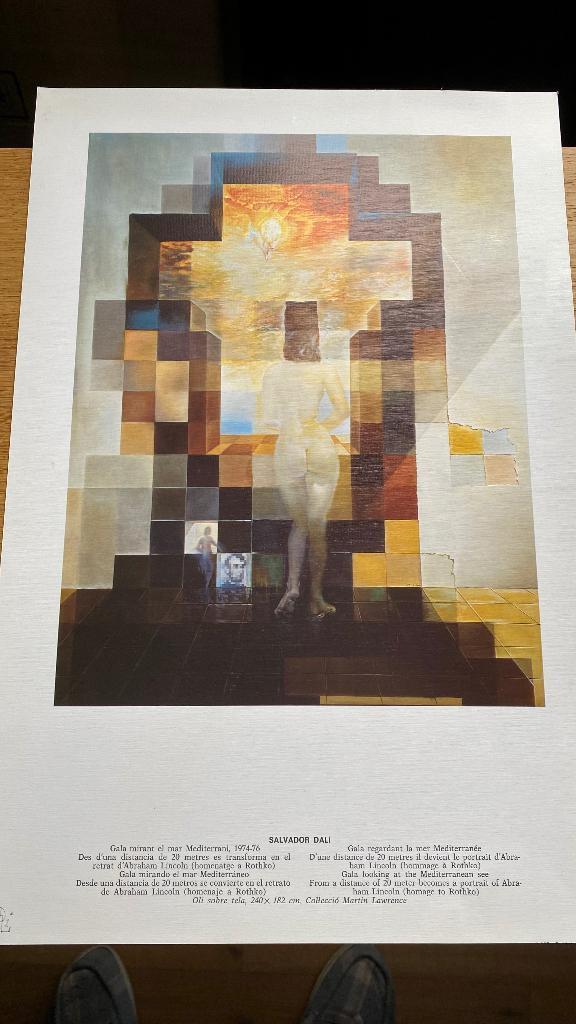 Reproductie: DALI:30 X45, Antiek en Kunst, Kunst | Litho's en Zeefdrukken, Ophalen of Verzenden
