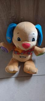 Educative beer, Enlèvement, Ours