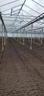 Deelserre te huur, Articles professionnels, Agriculture | Immobilier agricole, Enlèvement, Jusqu'à 1 ha, Entreprise d'horticulture