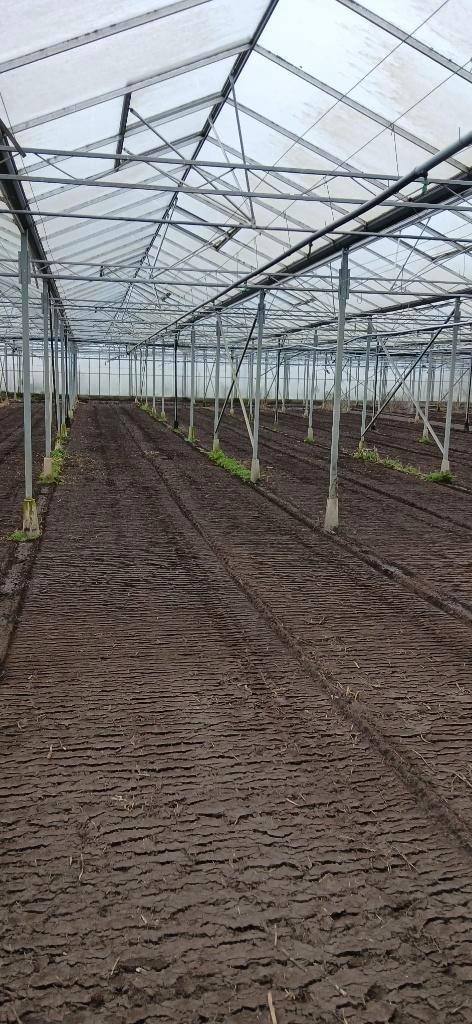 Deelserre te huur, Zakelijke goederen, Landbouw | Onroerend goed, Tuinbouwbedrijf, tot 1 ha, Ophalen