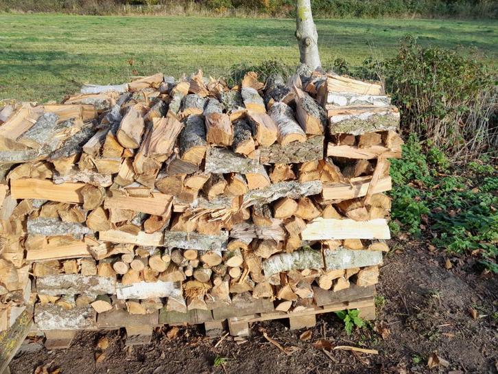 brandhout, Jardin & Terrasse, Bois de chauffage, Autres essences de bois, 6 m³ ou plus, Enlèvement