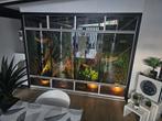 Terrarium iguane, Dieren en Toebehoren, Reptielen en Amfibieën | Toebehoren, Ophalen of Verzenden, Zo goed als nieuw