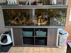 Aquarium, Dieren en Toebehoren, Ophalen