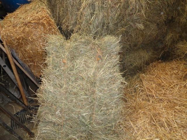Kleine Ballo's Hooi en tarwe Stro., Zakelijke goederen, Landbouw | Veevoer, Ophalen