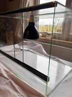 Terrarium, Enlèvement, Utilisé, Terrarium ou Paludarium