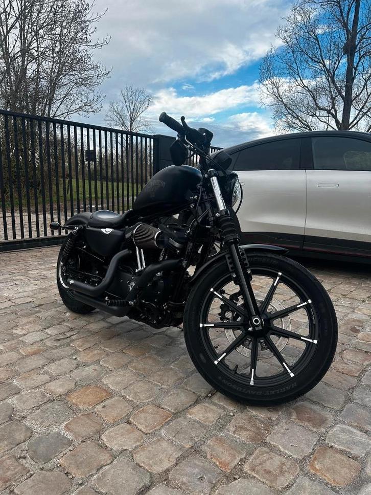 Harley-Davidson iron 883, Motoren, Motoren | Harley-Davidson, Particulier, Chopper, 12 t/m 35 kW, 2 cilinders, Minimaal motorrijbewijs A2