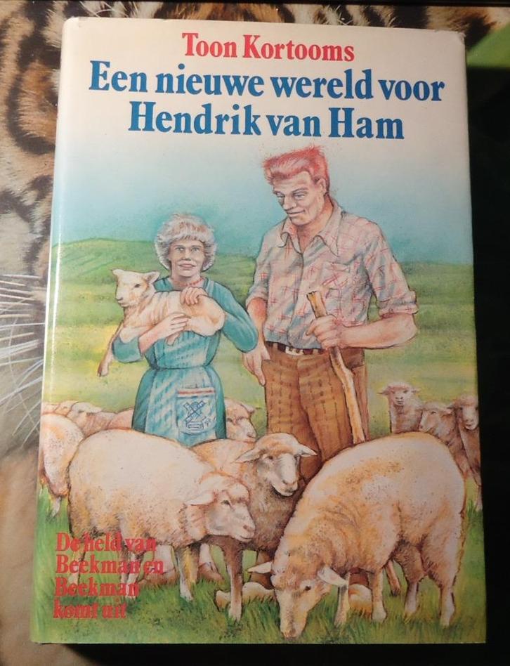 Boek Nieuwe Wereld Voor Hendrik Van Ham van Toon Kortooms., Boeken, Streekboeken en Streekromans, Zo goed als nieuw, Ophalen of Verzenden
