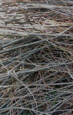 Snoeihout wilg, Tuin en Terras, Ophalen