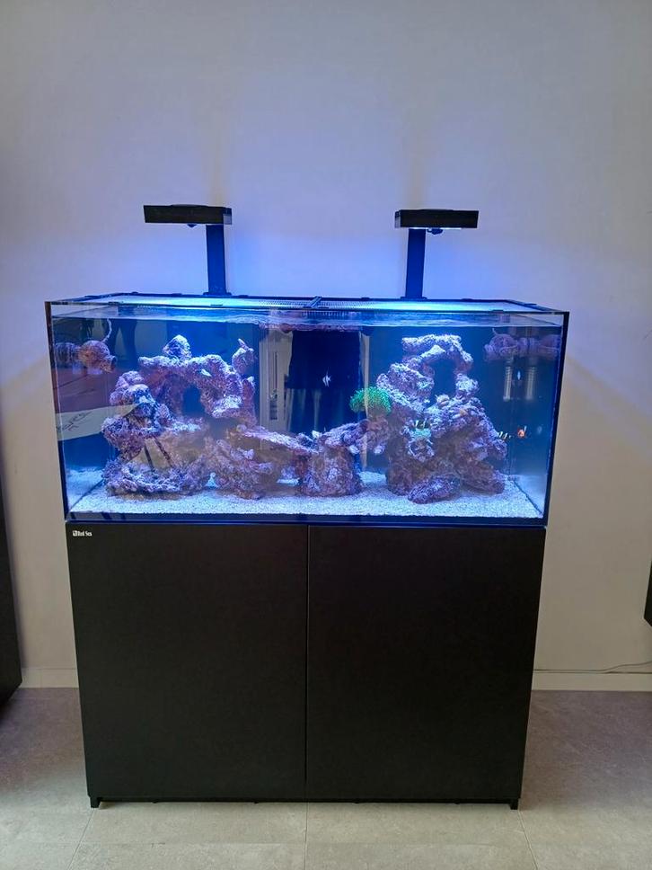 Red sea zeeaquarium 275 liter, Dieren en Toebehoren, Vissen | Aquaria en Toebehoren, Ophalen