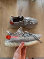 Yeezy boost 350 v2 tail light 38,5, Kleding | Dames, Ophalen