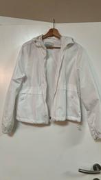 Sportvestje maat 36, Kleding | Dames, Jassen | Zomer, Ophalen, Maat 36 (S)