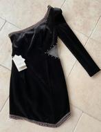 Feestjurk Small, Enlèvement