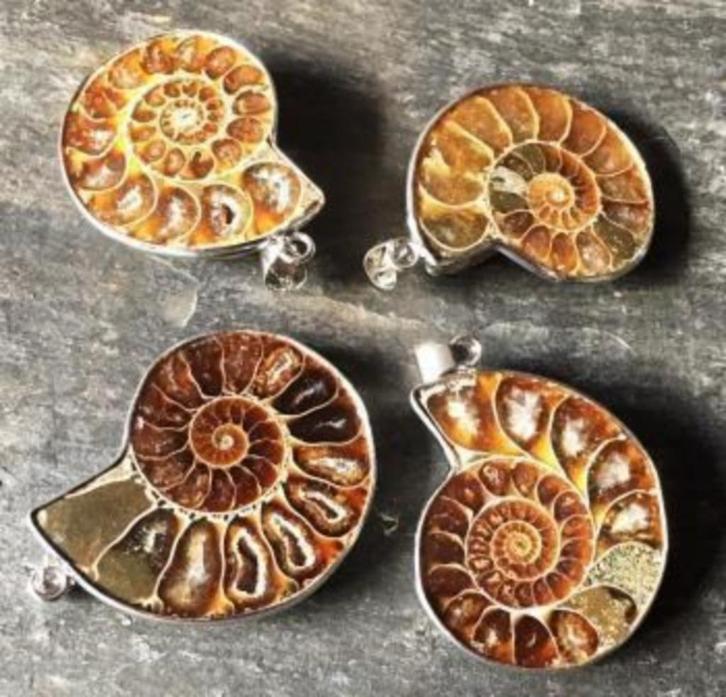 Ammoniet hanger, Handtassen en Accessoires, Kettinghangers, Nieuw, Bruin, Overige voorstellingen, Ophalen of Verzenden