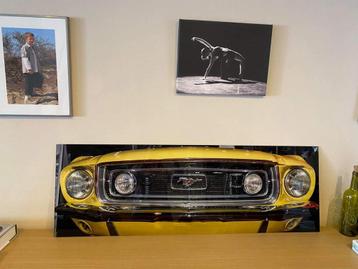 Mustang kader in glas beschikbaar voor biedingen