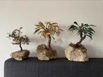 3 boompjes in messing - sculpturen- d haeseleer, Ophalen of Verzenden