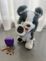 Furreal Ricky, Enlèvement ou Envoi