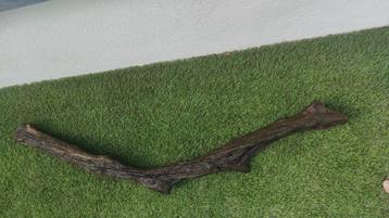 Racine pour aquarium 135 cm beschikbaar voor biedingen