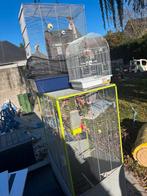 Voliere en 2 vogelkooien + accesoires, Ophalen, Gebruikt