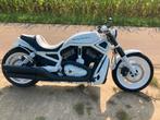 Prachtige harley davidson night rod special, Particulier