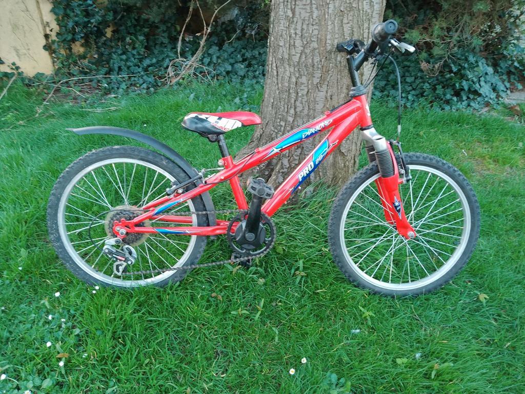 VTT Diamond Pro 20. 6 a 9 ans