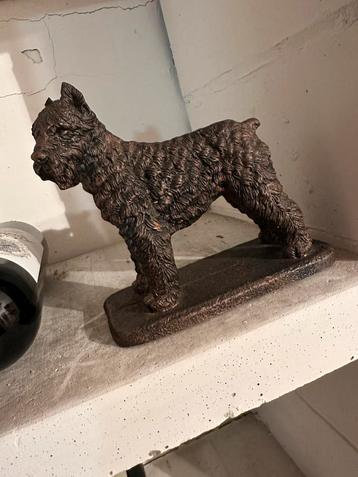 Beeld hond beschikbaar voor biedingen
