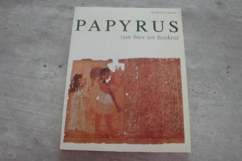 PAPYRUS VAN BIES TOT BOEKROL, Livres, Art & Culture | Arts plastiques, Utilisé, Enlèvement ou Envoi