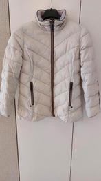 Warme jas Esprit, Kleding | Dames, Overige kleuren, Maat 42/44 (L), Ophalen of Verzenden, Zo goed als nieuw
